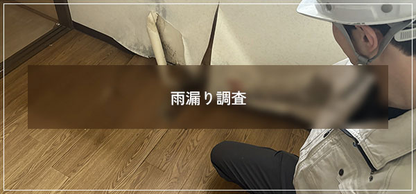 雨漏り調査